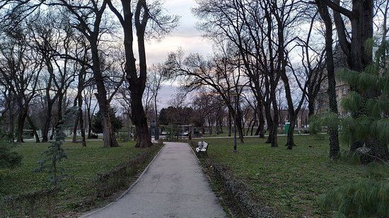 Piața Victoriei din Timișoara